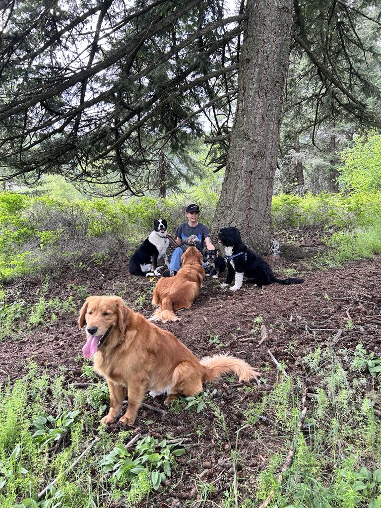 Jenny sitting under a large tree with several dogs gathered around her in a peaceful forest setting